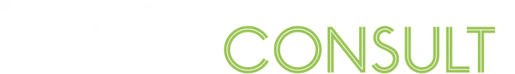 TECHCONSULTI logo